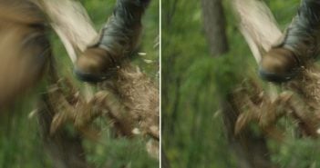 VFX: Object removal