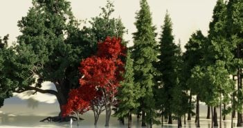 Procedural Forest