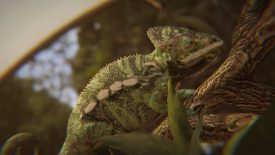 CHAMELEON ( Eevee render)