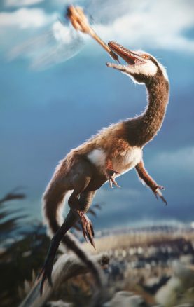 Compsognathus 2023