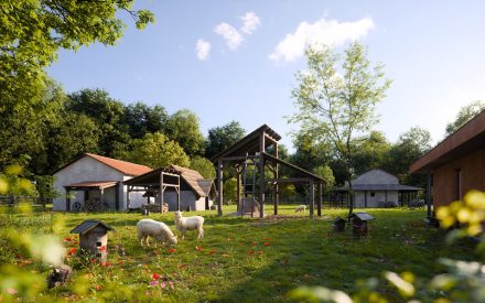 German settlement