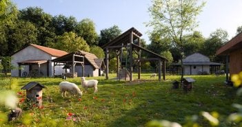 Behind the Scenes: Life in the Roman-German Settlement