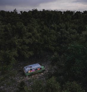 Into the Wild