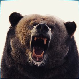 Mama Bear