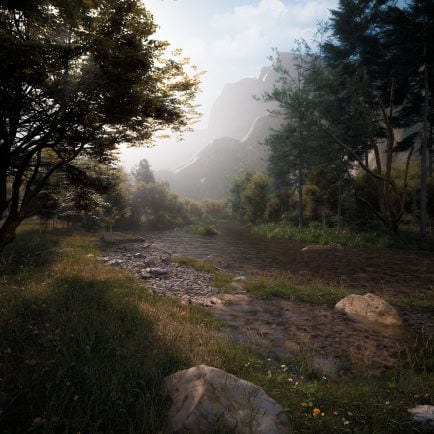 The Forest River