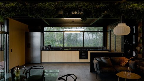 The Jungle Kitchen
