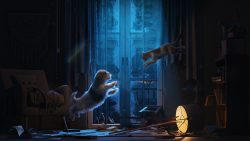 The last night