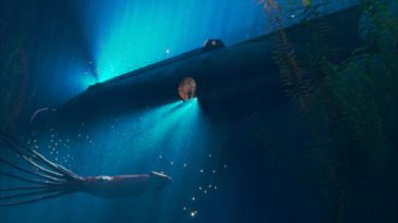 The Nautilus And The Devilfish