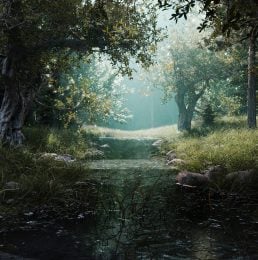 The Swamp