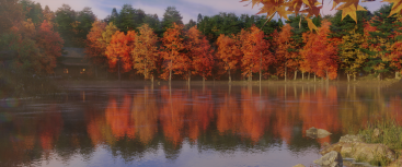 Autumn Forest with Lake