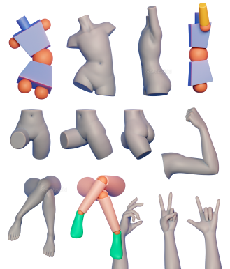 Body anatomy