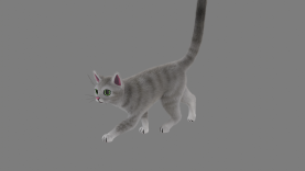Cat walk/trot/run animation test