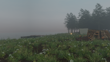 Overcast