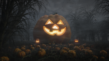 Pumpkin Patch