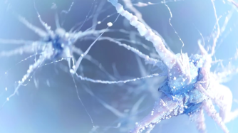 Take care of your neurons!