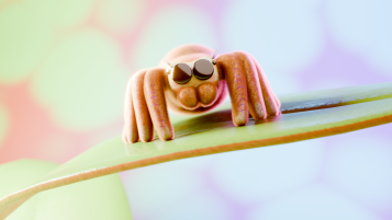 Tiny spider
